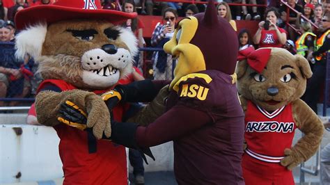 Mascot Clusters in the Digital Age: The Power of Social Media